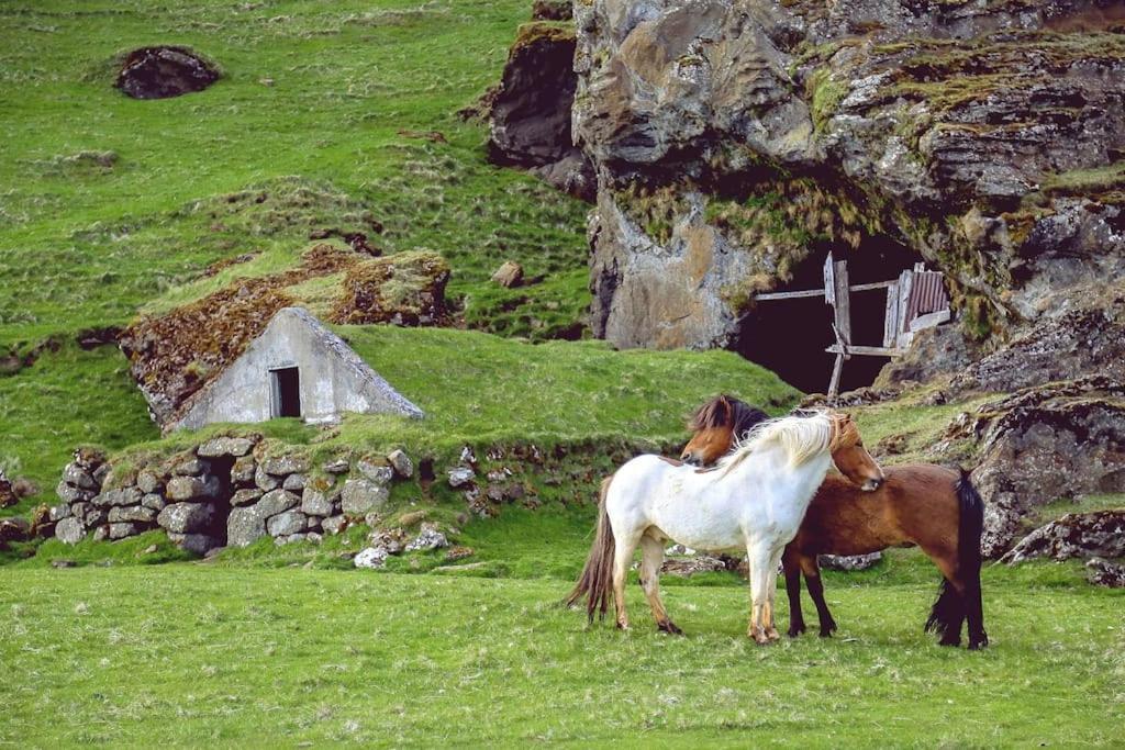 Апартаменты The Luxury Dartmoor Den, Dartmoor, Devon Ашбертон Экстерьер фото